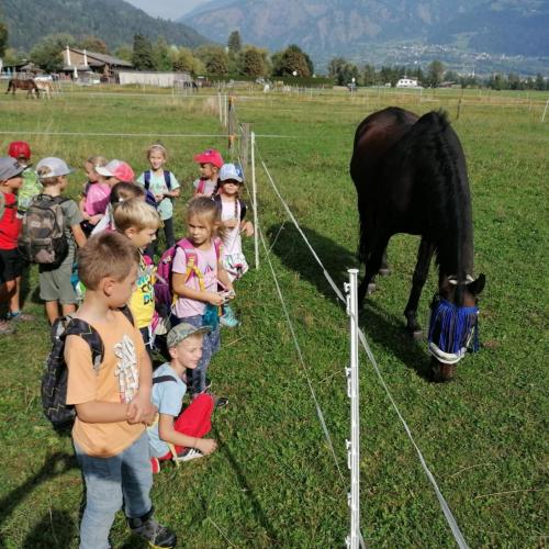 Herbstwandertag 1. Klasse 3