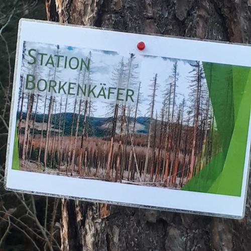 Waldpädagogische Tage