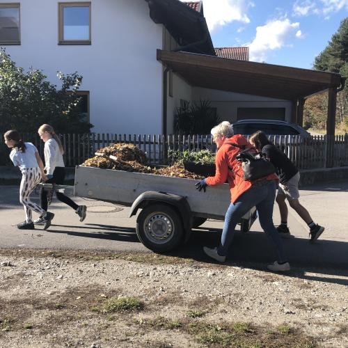 Wer braucht ein Auto?