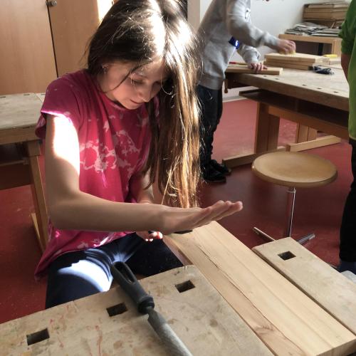 Schulgartenprojekt Pflanzenkisten