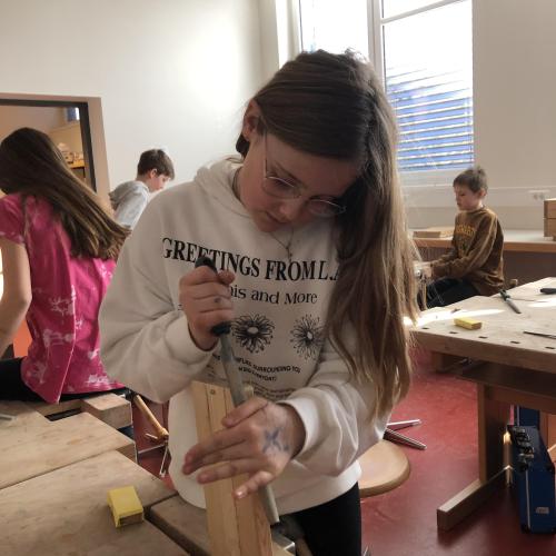 Schulgartenprojekt Pflanzenkisten