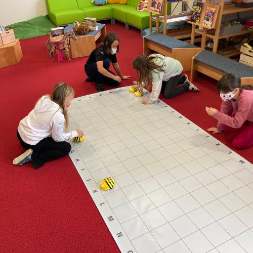 BeeBots programmieren