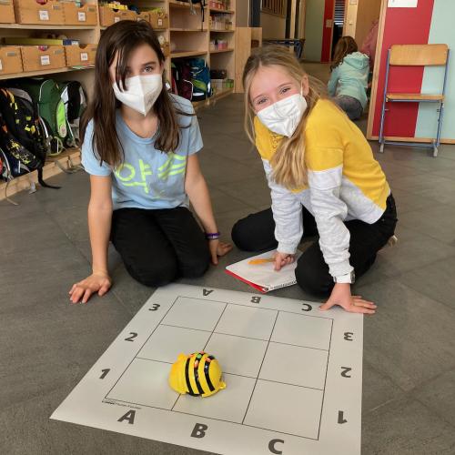 BeeBots programmieren