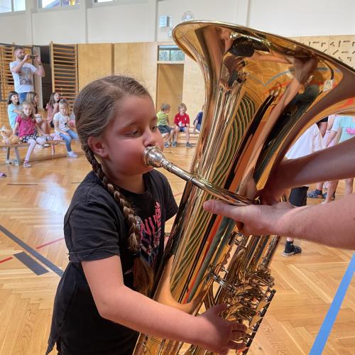 Instrumentenvorstellung