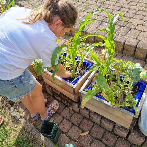 Gartenprojekt