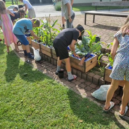 Gartenprojekt