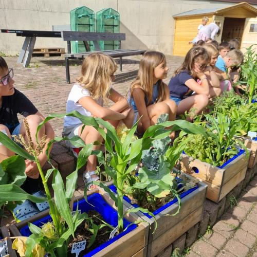 Gartenprojekt