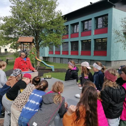Schulgartenprojekt 2024