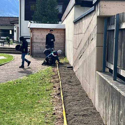 Schulgartenprojekt 2024