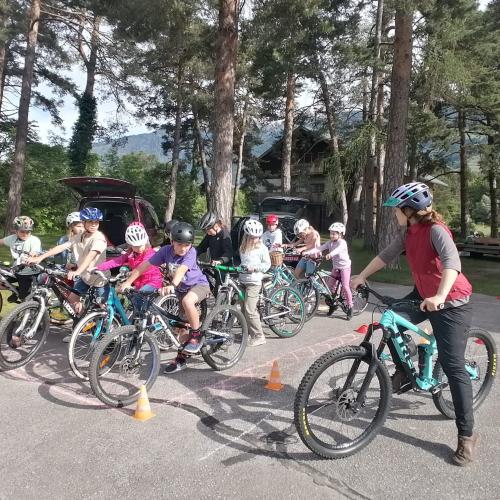 ProPedal Radworkshop