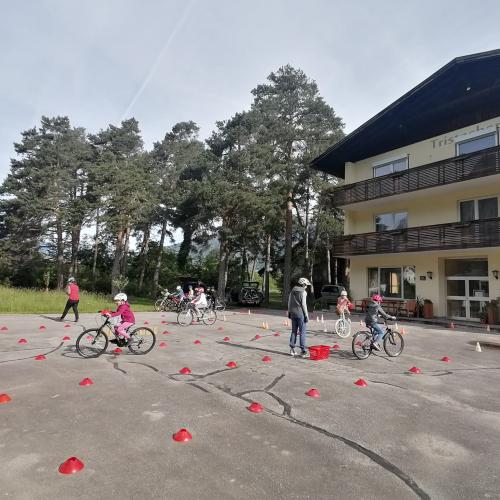 ProPedal Radworkshop