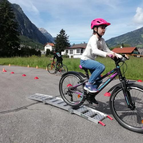 ProPedal Radworkshop