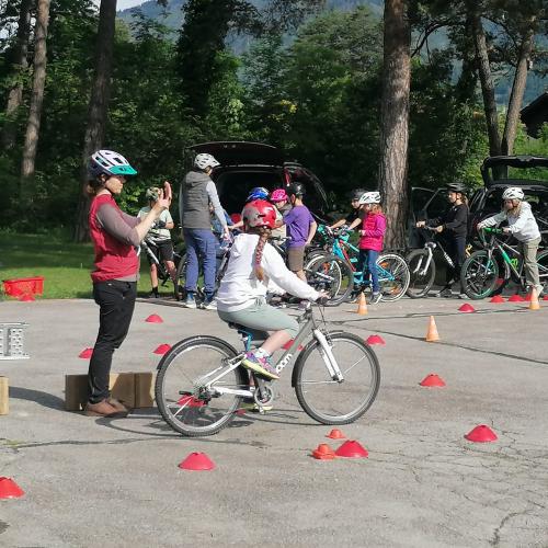 ProPedal Radworkshop