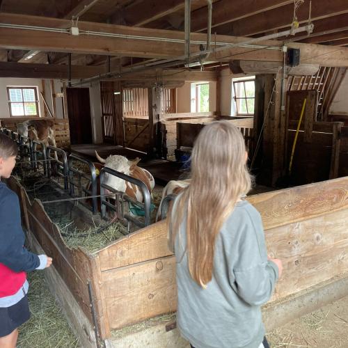 Besuch auf dem Wartscherhof