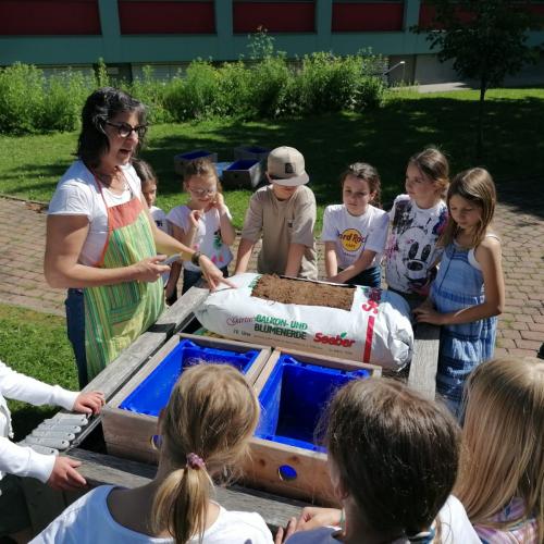 Schulgartenprojekt Fortsetzung
