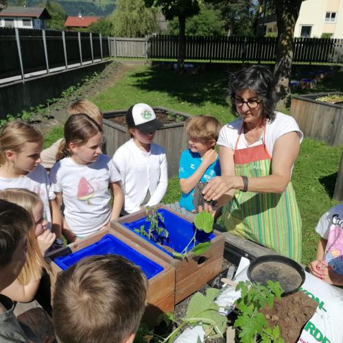 Schulgartenprojekt Fortsetzung