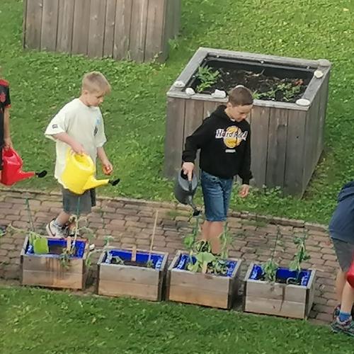 Schulgartenprojekt Fortsetzung
