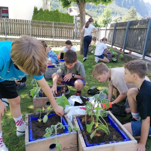 Schulgartenprojekt Fortsetzung