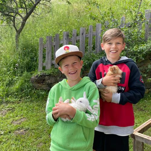 Besuch auf dem Wartscherhof