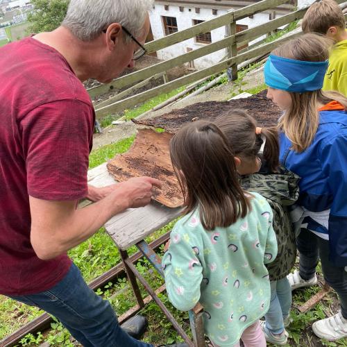 Besuch auf dem Wartscherhof