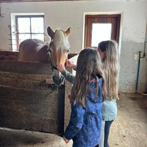Besuch auf dem Wartscherhof