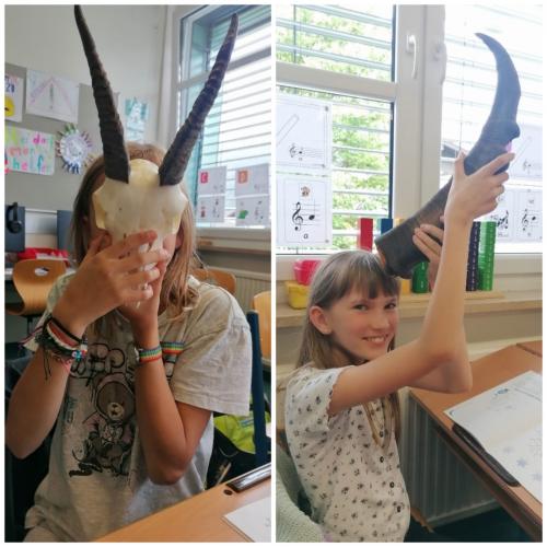 Nationalpark Wasserschule