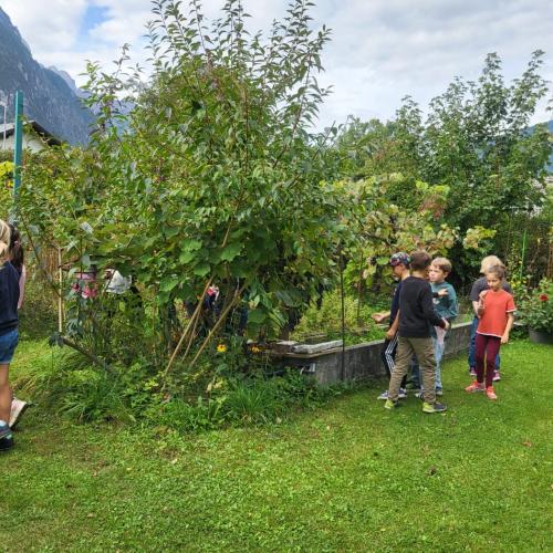 Besuch bei Franz Themessl