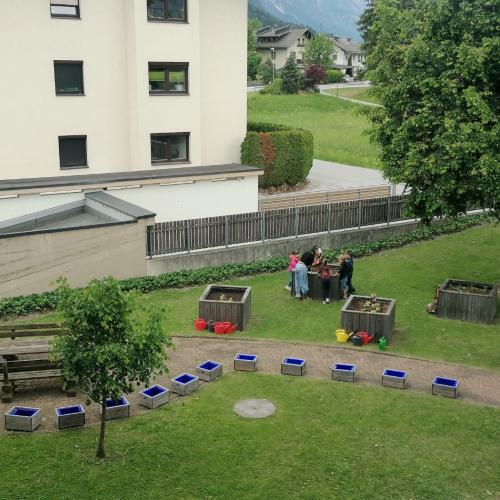 Schulgartenprojekt