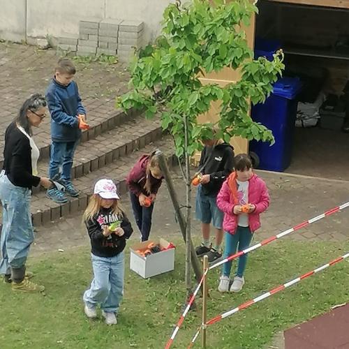 Schulgartenprojekt