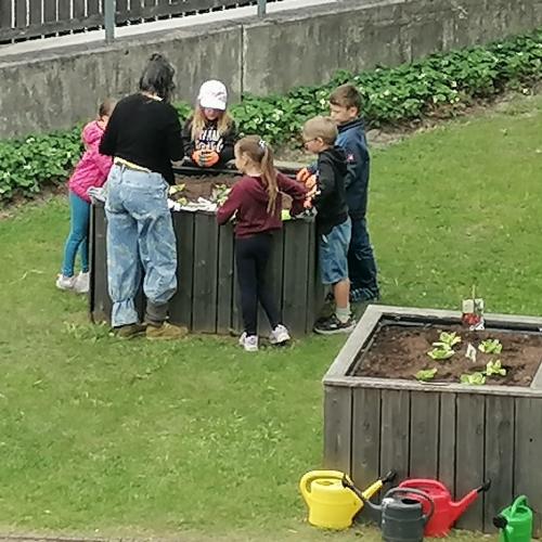 Schulgartenprojekt