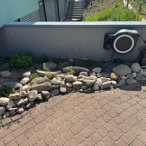 Schulgartenprojekt