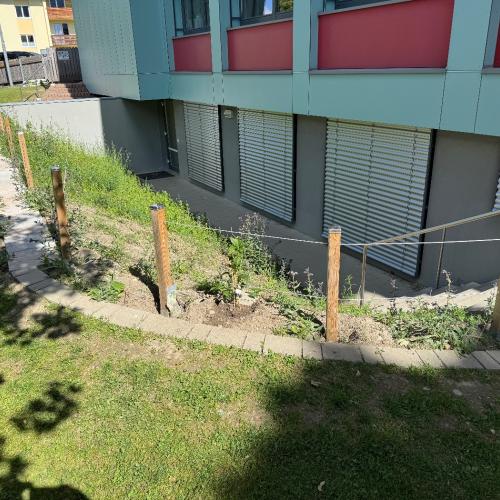 Schulgartenprojekt