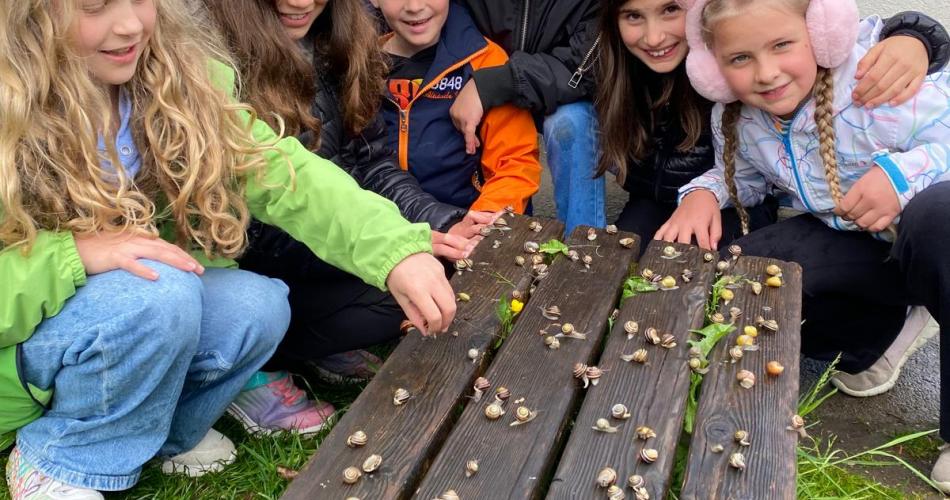 Schnecken - Besuch