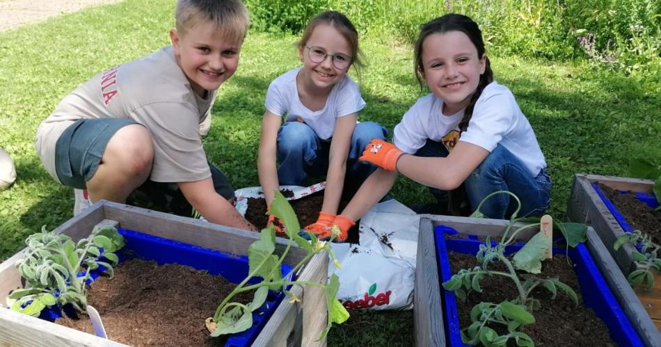 Schulgartenprojekt Fortsetzung