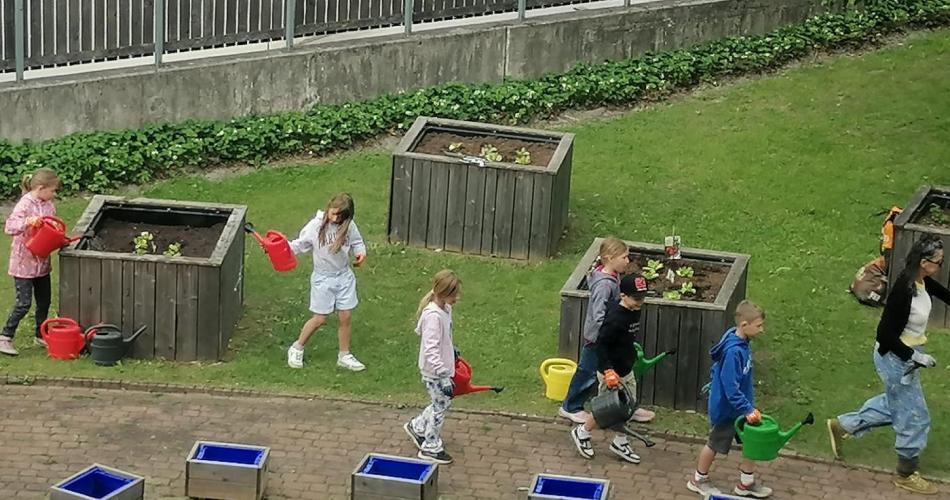 Schulgartenprojekt