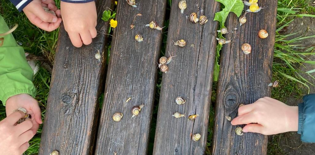 Schnecken - Besuch
